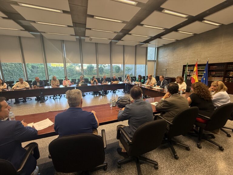 La Junta informa al Consejo Superior del Cooperativismo de los avances en la modernización y digitalización de procedimientos