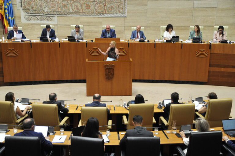 Manzano recrimina al PSOE que su enmienda es una «confirmación a la totalidad» del Presupuesto de 2026 «con medidas ya implantadas»