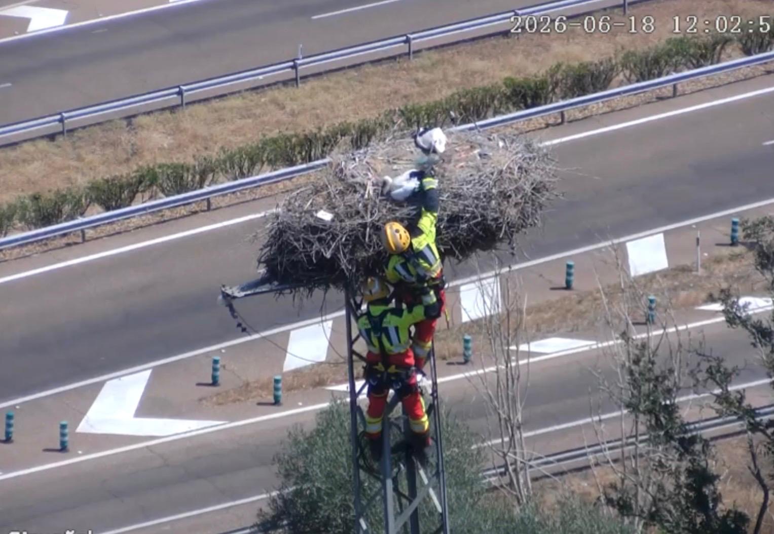 Los bomberos de la Diputación de Badajoz rescatan en Lobón a una cigüeña que había quedado atrapada en su nido por varias cuerdas