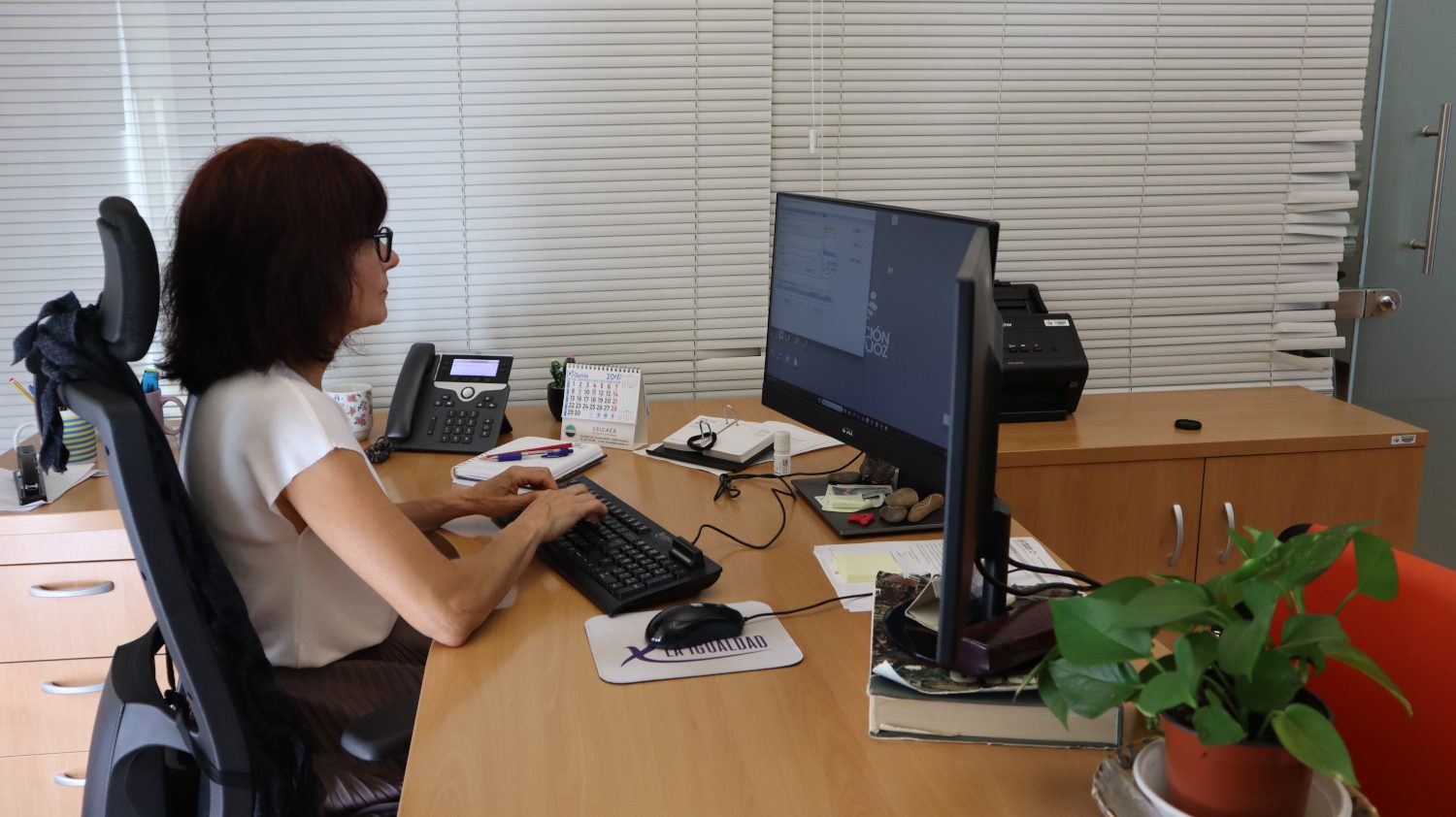 La Diputación de Badajoz asesora un año más a los ayuntamientos de la provincia en la solicitud de ayudas del Programa de Fomento del Empleo Agrario
